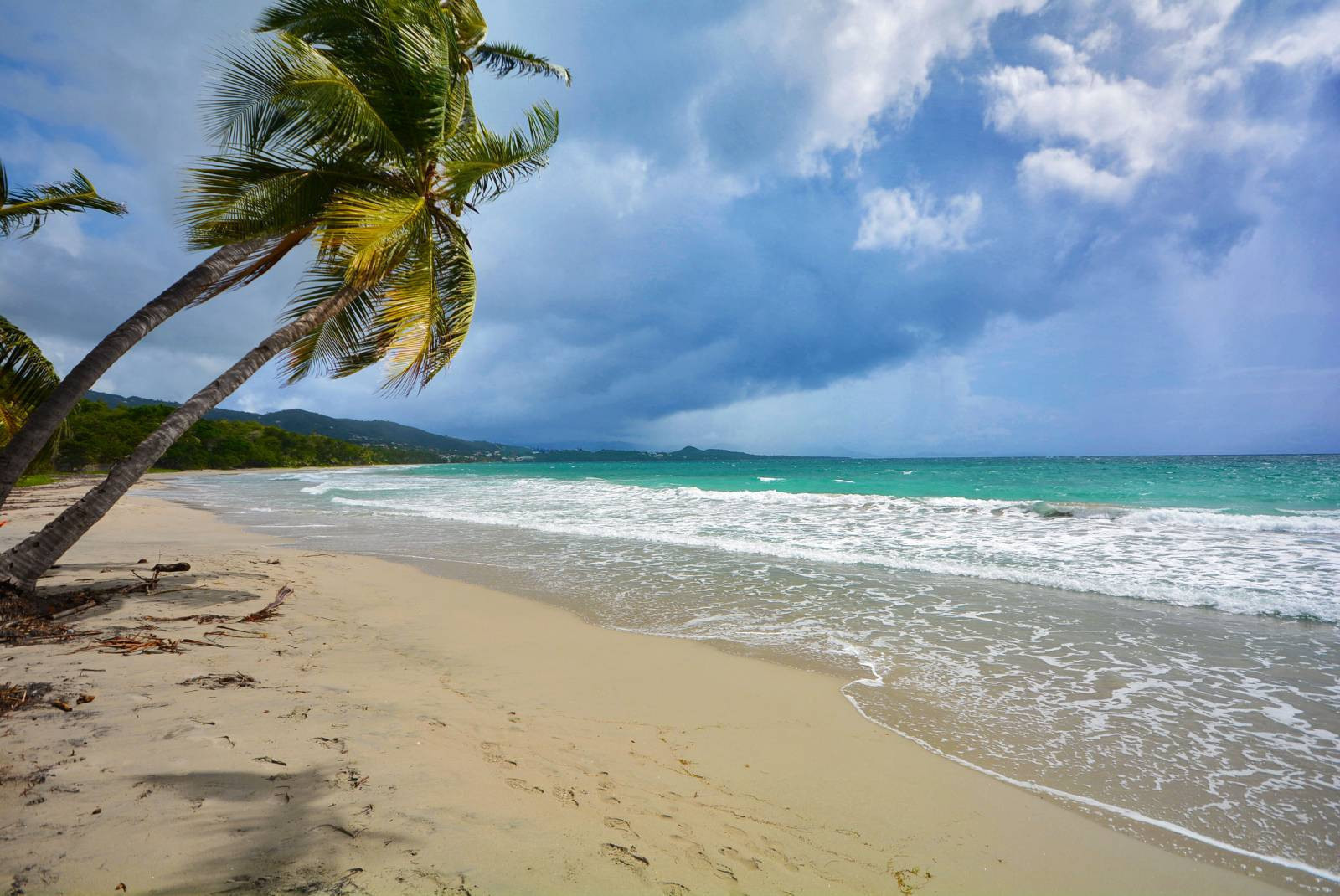 Rock'n Sol II  location villa Martinique à 50 m de la plage le Diamant - 